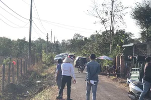 Giữa mùa dịch, nhiều nơi vẫn sốt đất