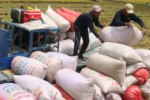 Bức xúc vì hải quan cho đăng ký xuất gạo lúc nửa đêm