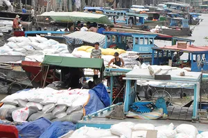 Xuất khẩu gạo: Cần công khai, minh bạch, bình đẳng