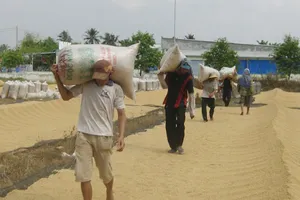 Hiến kế cứu gạo xuất khẩu chất đống tại cảng