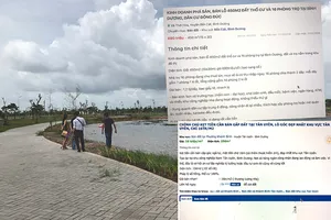 Làn sóng bán tháo đất nền tỉnh lẻ