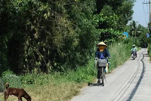 Dự án khu đô thị Bình Qưới - Thanh Đa là một trong những dự án treo của TP.HCM. Ảnh: HTD