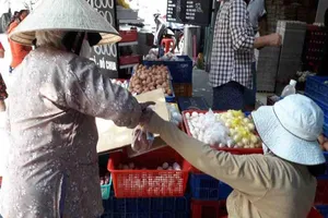 Lòng tốt của người ‘ăn theo’ cây gạo