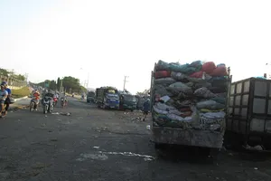 Vườn hoa thay thế bãi rác