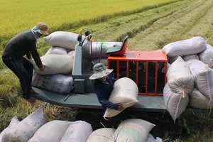 Cho xuất khẩu gạo, khẩu trang y tế bình thường