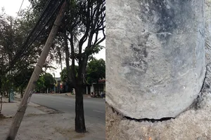 Coi chừng trụ điện sắp đổ