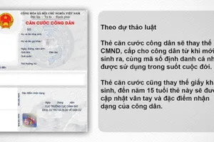 Người già mất căn cước công dân, có cần xin cấp lại?