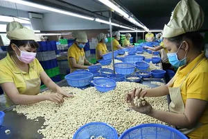 Mở thêm cánh cửa cho hàng Việt sang Đức, Pháp