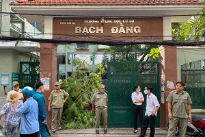 Vụ cây phượng bật gốc: Hiệu trưởng nhận trách nhiệm