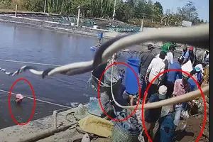 Camera ghi cảnh thương lái trộm hàng tấn tôm