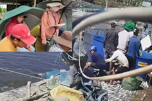 Công an tỉnh chỉ đạo điều tra vụ thương lái trộm tôm