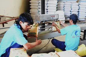 Gạo Việt trước cơ hội vươn lên dẫn đầu thế giới