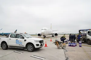 Nhiều phương án khi Nội Bài và Tân Sơn Nhất đóng 1 đường băng