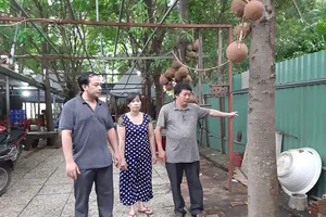 Vụ vợ bị đơn định tự tử: 2 cấp tòa xử khác biệt