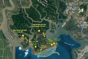 Các giải pháp về môi trường của dự án KĐT Cần Giờ là khả thi