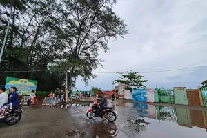 Bộ TN&MT thông tin về dự án lấn biển Cần Giờ