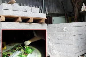 TAND Tối cao giải đáp vướng mắc về án ma túy