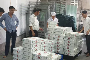 Phí vận chuyển tăng cao làm khó doanh nghiệp