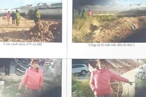 Vợ ‘dính’ án, chồng bị xem xét dấu hiệu đồng phạm