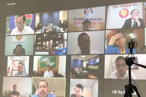 VFF có dám phạt bầu Đệ?