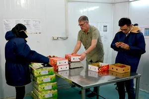 Trái cây Việt Nam tắc đường sang Mỹ