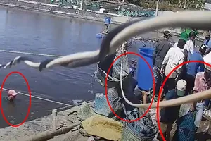 Nạn trộm tôm đã lộng hành hơn 5 năm qua