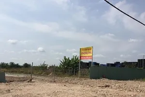 Thanh tra TP chuyển cơ quan điều tra sai phạm tại 2 công ty