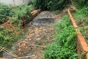 Lò mổ bốc mùi hôi thối, hàng chục hộ dân kêu cứu