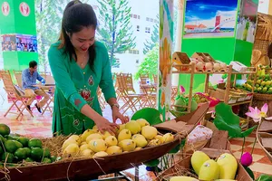 Bỗng dưng bị cấm xuất khẩu xoài sang Trung Quốc