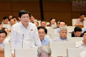 Vụ ông Phạm Phú Quốc và nguyên tắc ‘một quốc tịch’