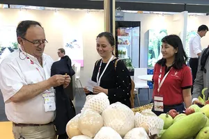 Hàng Việt giảm phụ thuộc thị trường Trung Quốc