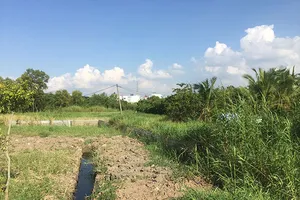 53 dự án khu dân cư ở huyện Bình Chánh có vấn đề