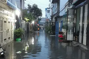 ‘Mong Báo có thêm nhiều bài viết dân sinh, gần gũi’
