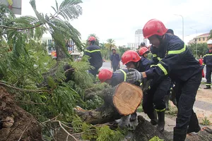 Bão số 5 gây thiệt hại nặng cho miền Trung