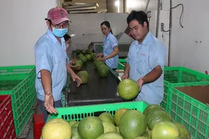 Mỹ mở rộng thêm cửa với nông sản Việt