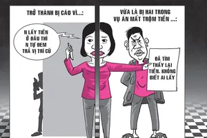 Nhà mất trộm, vợ bị kết án không tố giác tội phạm