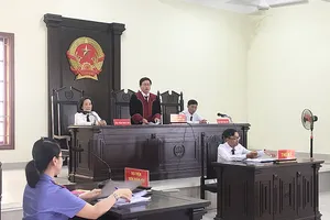 Cần Thơ: Dân thắng kiện văn phòng đăng ký đất đai