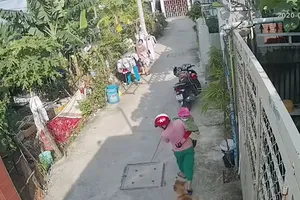 Hàng xóm mất lòng nhau vì chuyện chó cắn