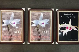 Coi chừng ‘đột tử’ vì lan đột biến