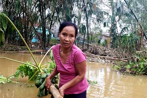 ‘Lo chạy lũ trước, thóc gạo tính sau’