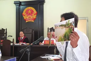 Dì đưa cháu ra tòa vì… vết xước ở trán