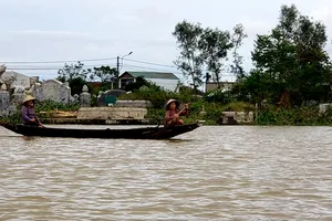 ‘Sáng nay, nước lại dâng cao…’