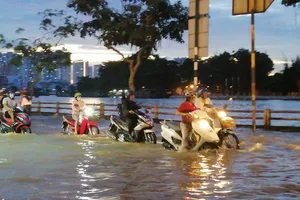 Cảnh báo mức độ rủi ro thiên tai do triều cường ở TP.HCM