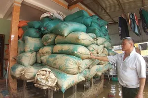 Người dân Quảng Bình gượng dậy sau lũ