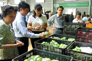 Rau, cá trong chuỗi thực phẩm an toàn cũng dính hoạt chất