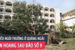 Nhiều trường học ở Quảng Ngãi tan hoang sau bão số 9