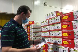 Xuất khẩu của Việt Nam sang Mỹ tăng 12 tỉ USD