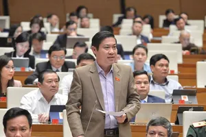 Thấm thía cái giá phải trả do mất rừng tự nhiên