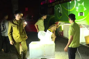 Video: Bắt xe khách chở hơn 1,5 tấn nội tạng động vật hôi thối