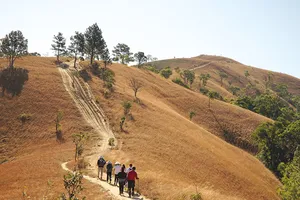 Trekking đi tìm món quà vô giá từ rừng